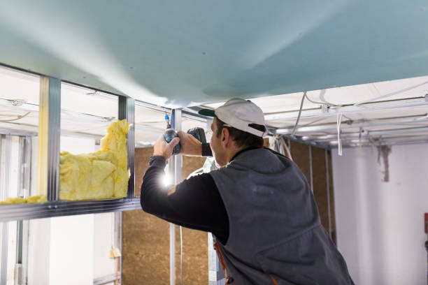 Best Energy-efficient Insulation  in Herndon, VA