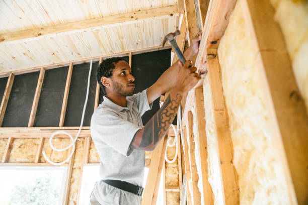Best Professional Insulation Contractor  in Herndon, VA